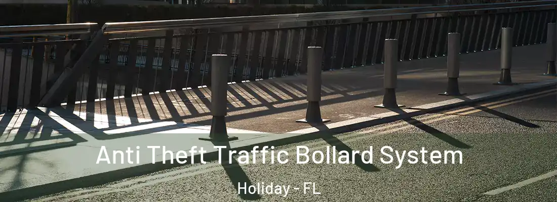 Anti Theft Traffic Bollard System Holiday - FL