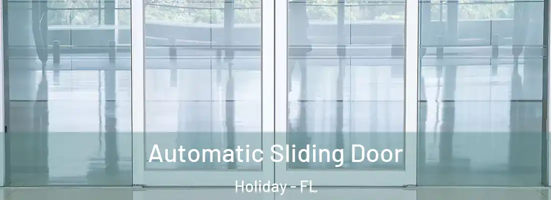 Automatic Sliding Door Holiday - FL