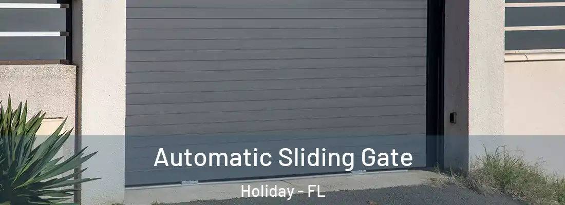 Automatic Sliding Gate Holiday - FL