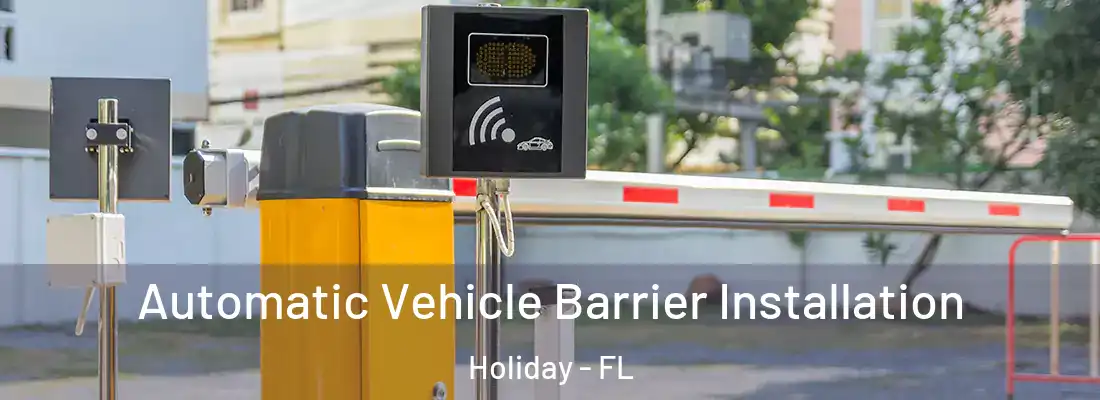 Automatic Vehicle Barrier Installation Holiday - FL