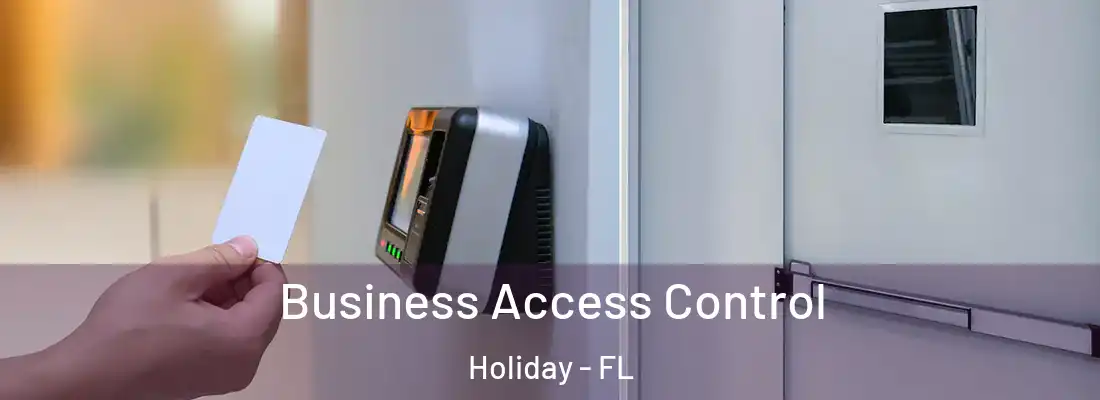 Business Access Control Holiday - FL