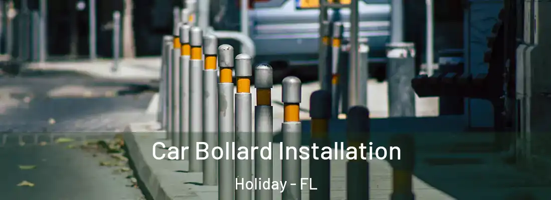 Car Bollard Installation Holiday - FL