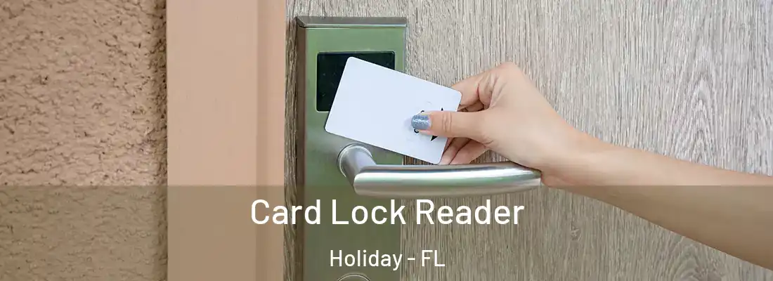 Card Lock Reader Holiday - FL