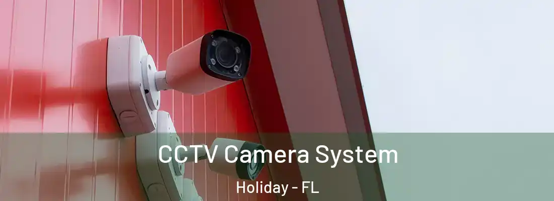 CCTV Camera System Holiday - FL