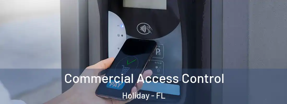 Commercial Access Control Holiday - FL