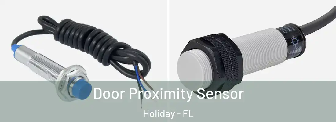 Door Proximity Sensor Holiday - FL