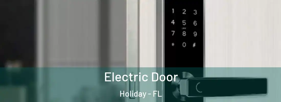 Electric Door Holiday - FL