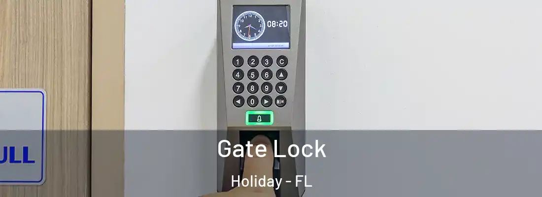 Gate Lock Holiday - FL