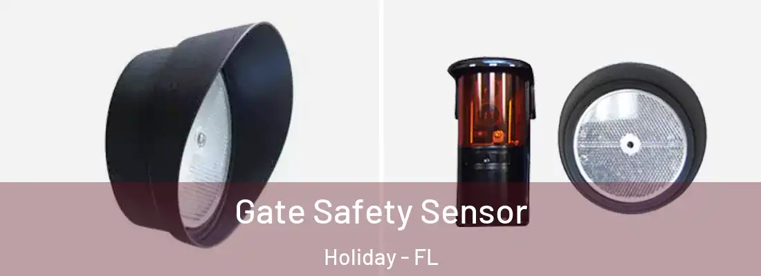 Gate Safety Sensor Holiday - FL