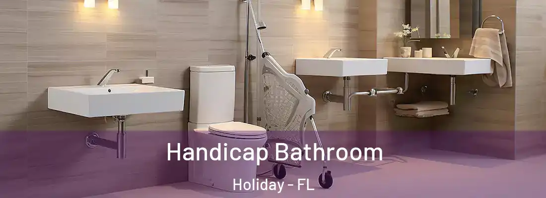 Handicap Bathroom Holiday - FL