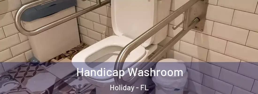 Handicap Washroom Holiday - FL