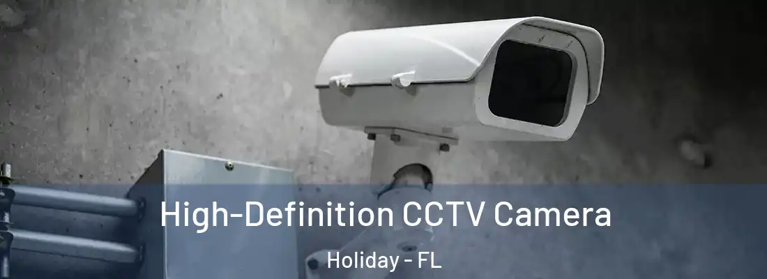 High-Definition CCTV Camera Holiday - FL