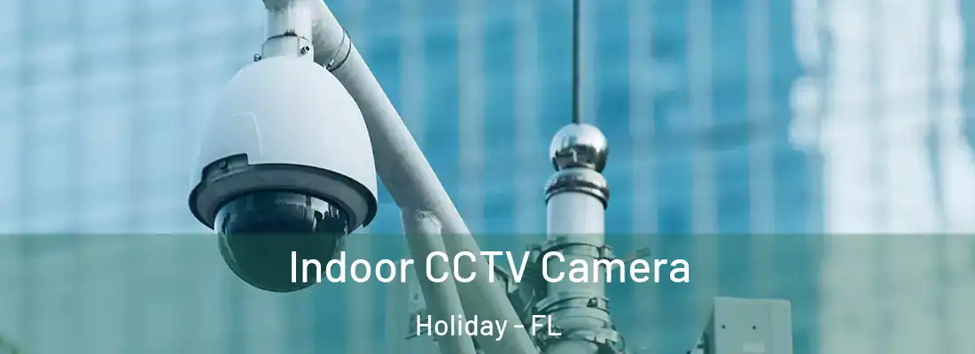 Indoor CCTV Camera Holiday - FL