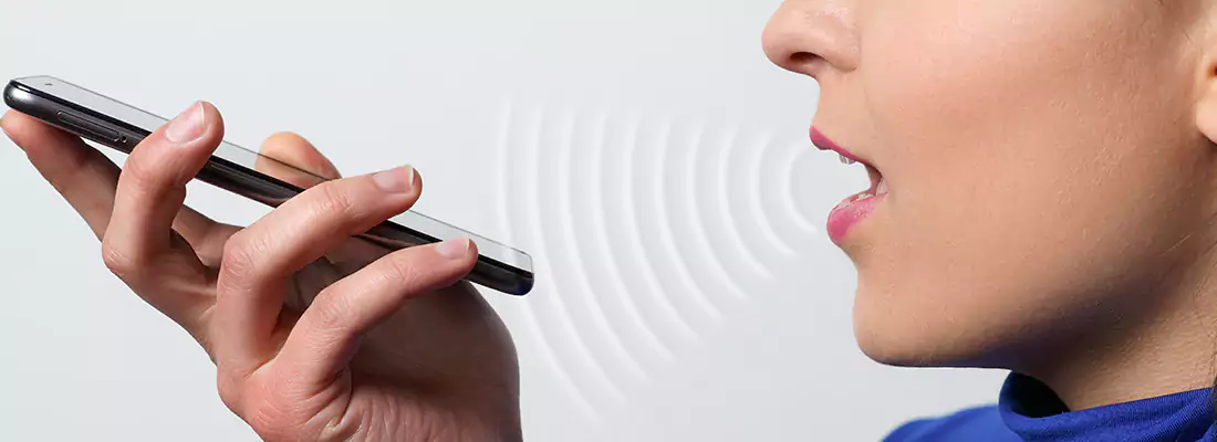 Residential and Commercial Voice Recognition Access Solutions in Holiday, FL