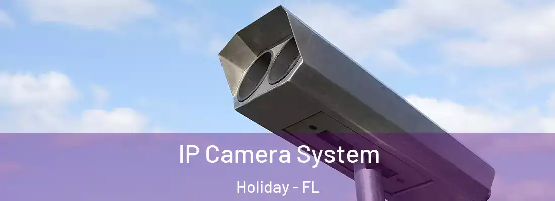IP Camera System Holiday - FL