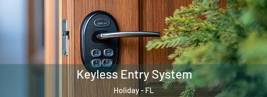 Keyless Entry System Holiday - FL