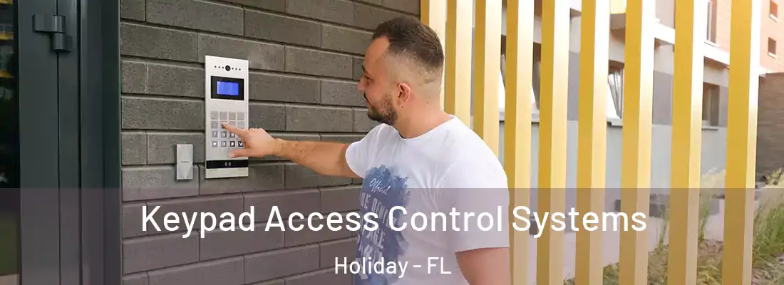 Keypad Access Control Systems Holiday - FL