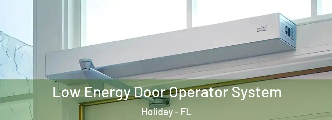 Low Energy Door Operator System Holiday - FL