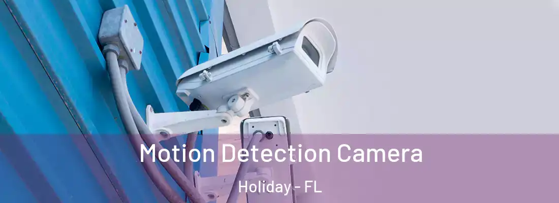 Motion Detection Camera Holiday - FL