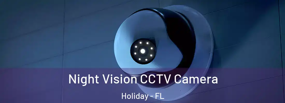 Night Vision CCTV Camera Holiday - FL