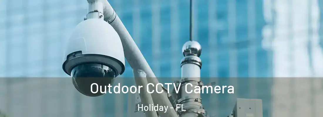 Outdoor CCTV Camera Holiday - FL