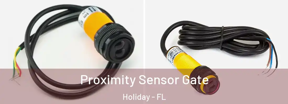 Proximity Sensor Gate Holiday - FL