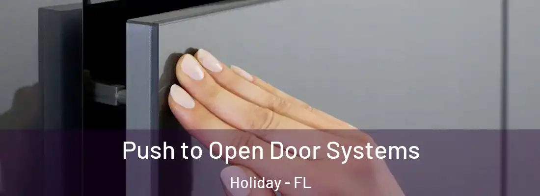 Push to Open Door Systems Holiday - FL