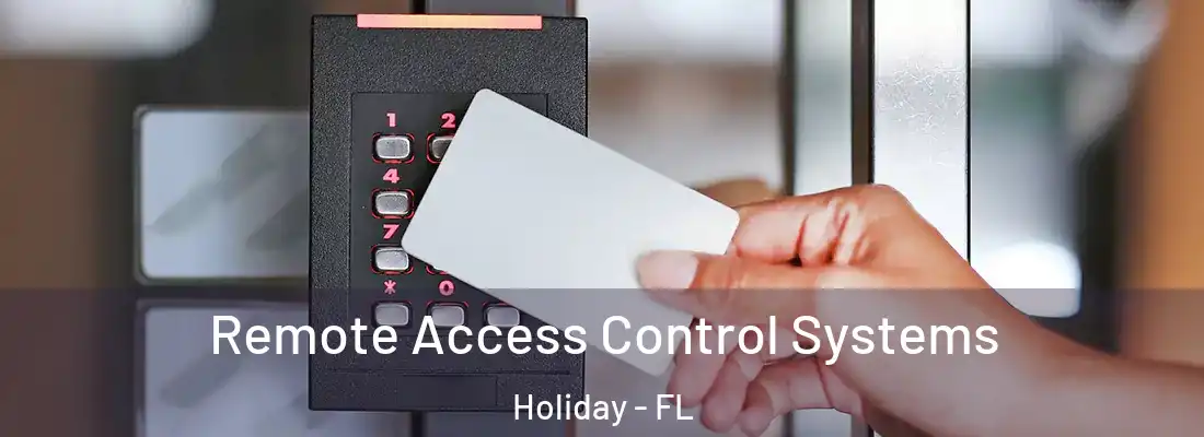 Remote Access Control Systems Holiday - FL