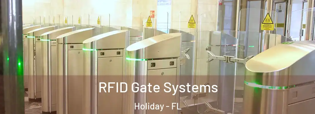 RFID Gate Systems Holiday - FL