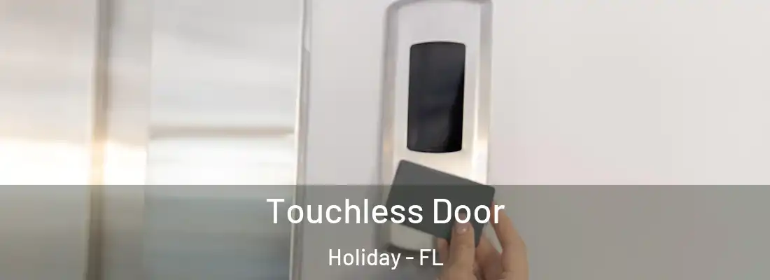 Touchless Door Holiday - FL
