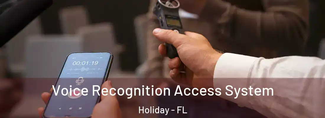 Voice Recognition Access System Holiday - FL
