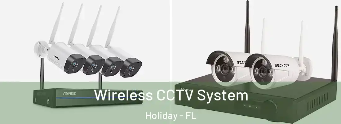  Wireless CCTV System Holiday - FL